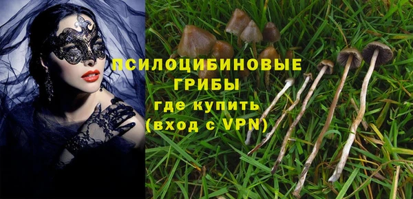 apvp Покровск