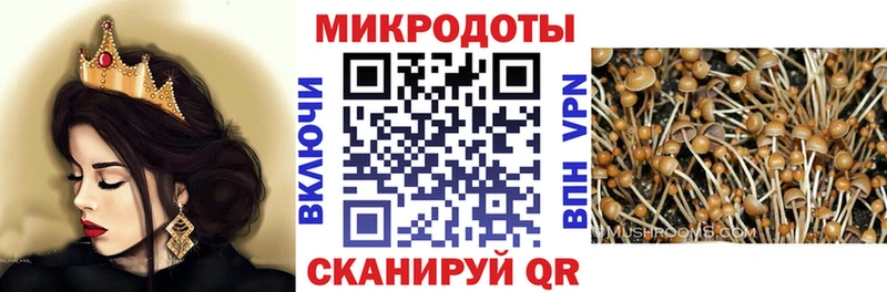 Купить где  Ардон  Псилоцибиновые грибы Cubensis 